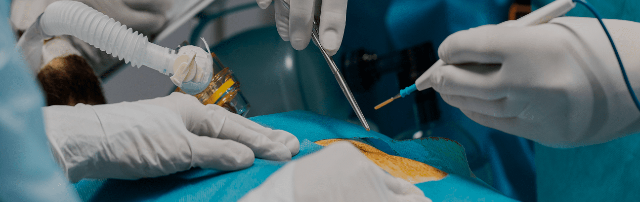 Sterile surgical field with gloved hands operating using forceps and electrocautery tool during minimally invasive procedure